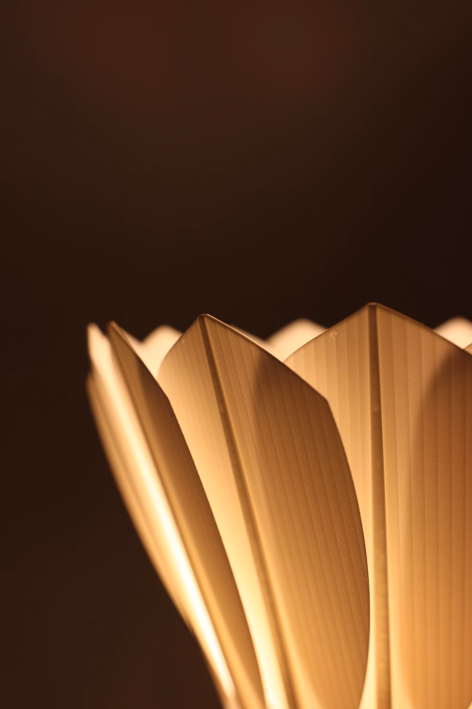 Close-up detail of 3D-printed feathers