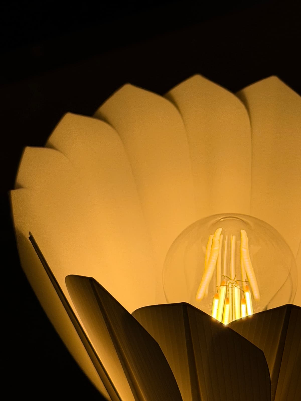 Elena Lamp dimmable warm 2700K LED glow in dark room nightstand setting